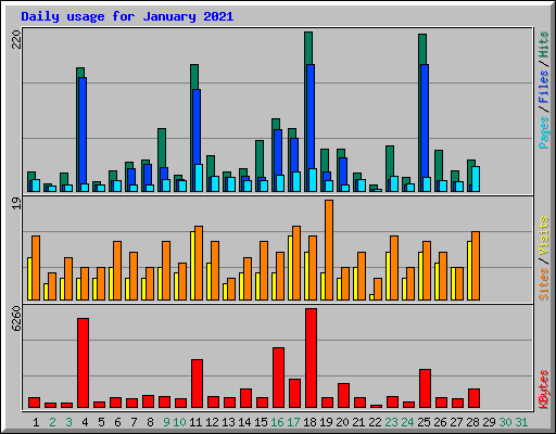 Daily usage for January 2021